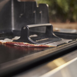 Пресс чугунный Weber