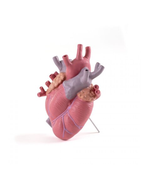 Seletti Ваза Love in Bloom Color