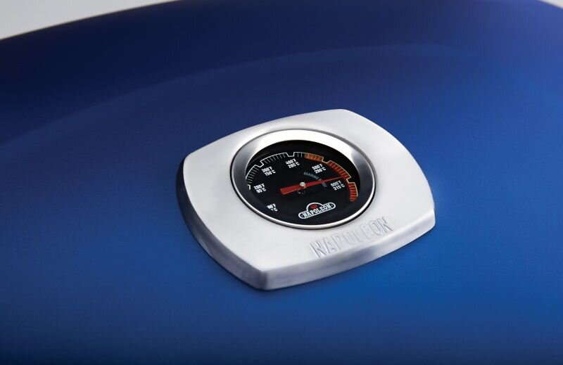 Газовый гриль Napoleon TravelQ-285 синий