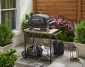 Газовый гриль Weber Q 2100N черный 