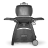 Газовый гриль Weber Q 3200 Black Line