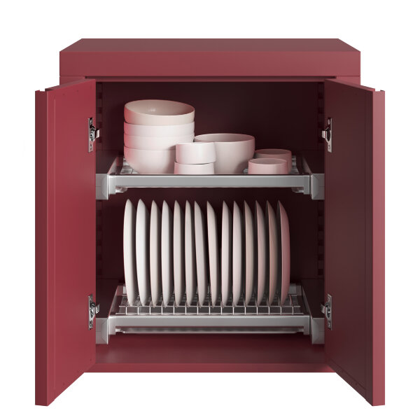 Шкаф навесной для тарелок и чашек с 2-мя распашными дверями