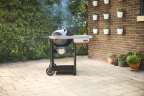 Угольный гриль Weber Performer GBS 57 см черный 