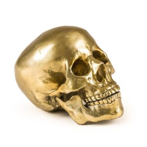 Seletti Статуэтка Wunderkrammer Human Skull