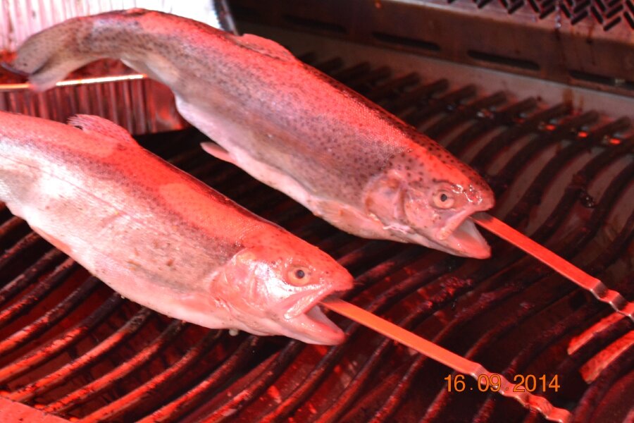 Набор шампуров Napoleon (8 шт)