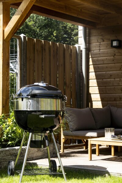 Вертел электрический Napoleon с 2-мя зажимами для угольных грилей