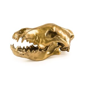 Seletti Статуэтка Wunderkrammer Wolf Skull