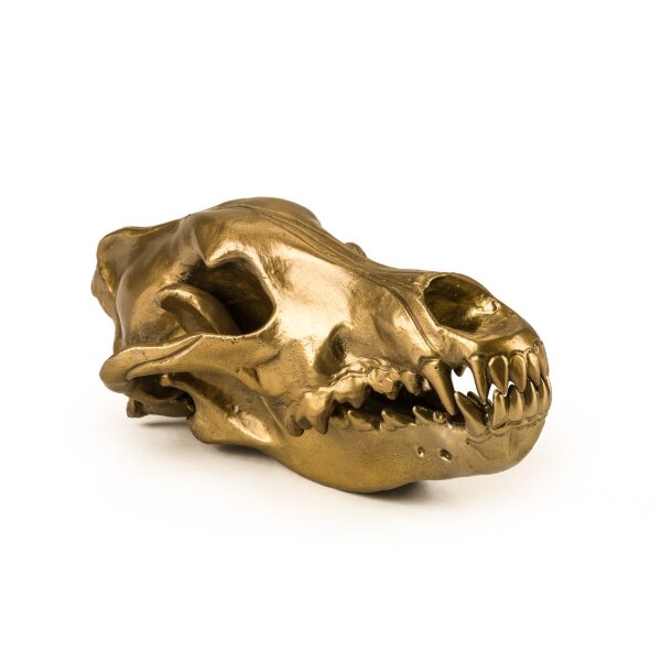 Seletti Статуэтка Wunderkrammer Wolf Skull