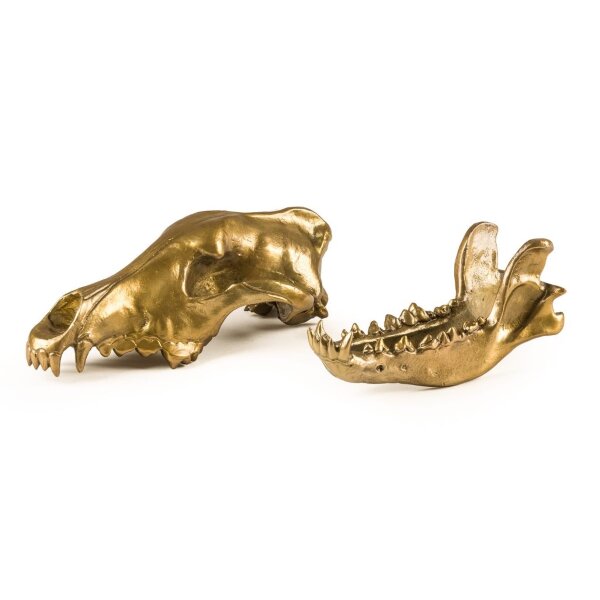 Seletti Статуэтка Wunderkrammer Wolf Skull