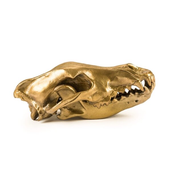Seletti Статуэтка Wunderkrammer Wolf Skull