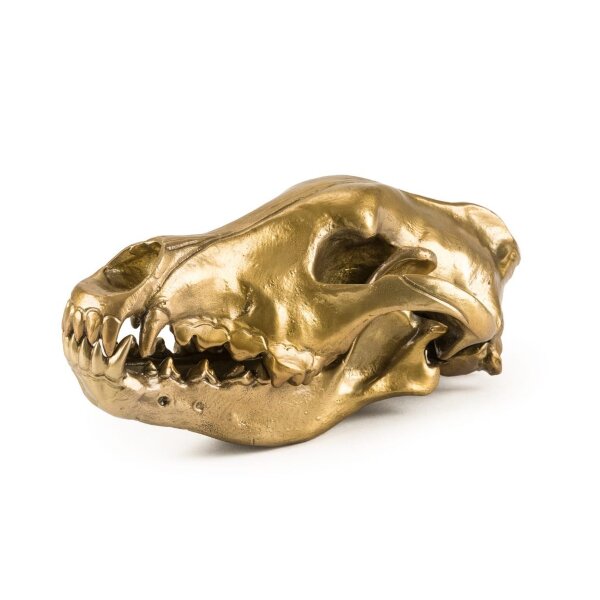 Seletti Статуэтка Wunderkrammer Wolf Skull
