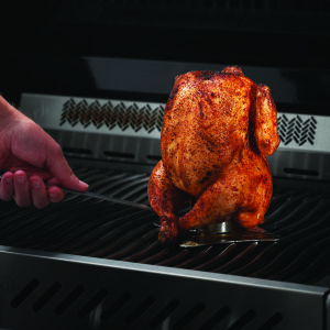 Ростер Napoleon со съемной ручкой