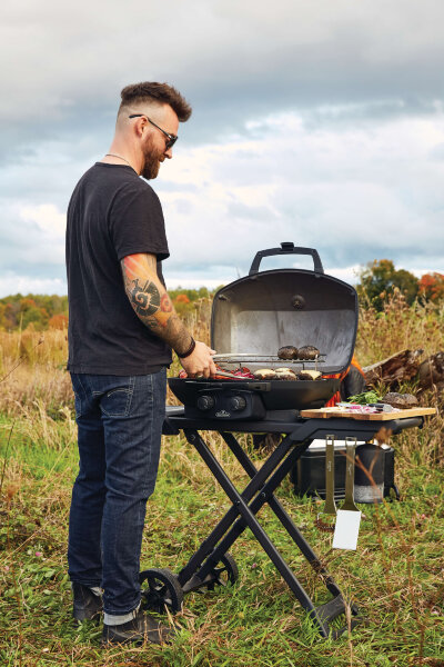 Газовый гриль Napoleon TravelQ PRO-285X Phantom