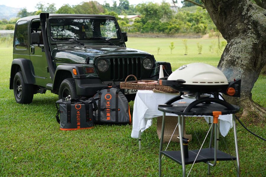 Сумка-холодильник O-Grill 25 литров