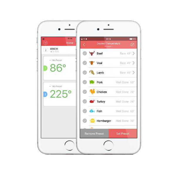 Термометр InkBird IBT-2X (Bluetooth, 2 щупа)