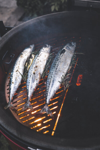 Противень для гриля Kamado Classic Joe с лазерной обработкой полукруглый нержавеющая сталь