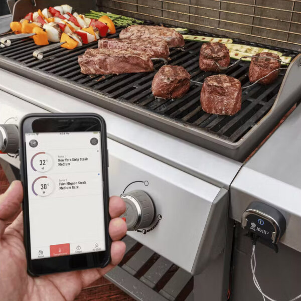 Термометр Weber iGrill 3