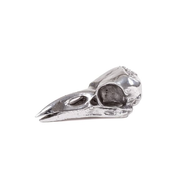 Seletti Статуэтка Wunderkammer Bird Skull